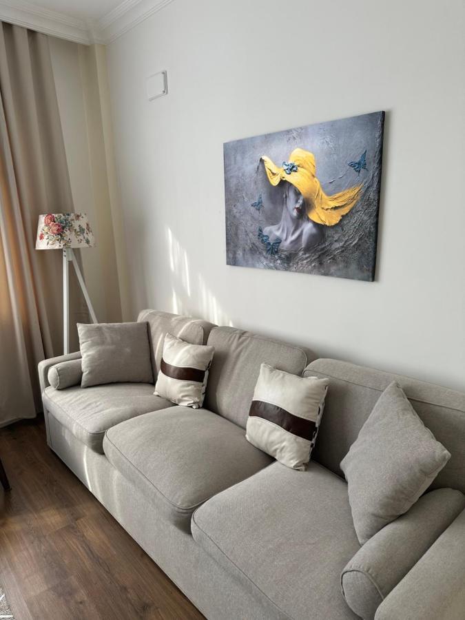 Center Of City In Besiktas 2 Plus 1 With 2 Bathroom And 3 Air Conditioner Isztambul Kültér fotó